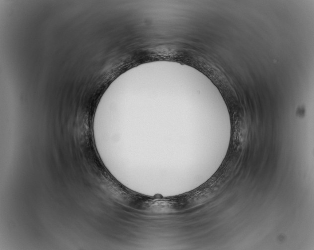 X0000099410518200805301348