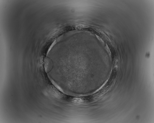 X0000099410519200805301348