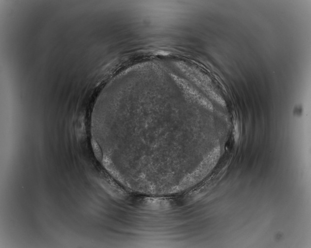 X0000099410520200805301348