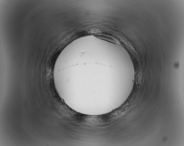 X0000099410521200805301348