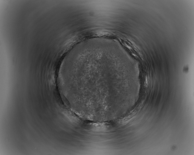 X0000099410524200805301348