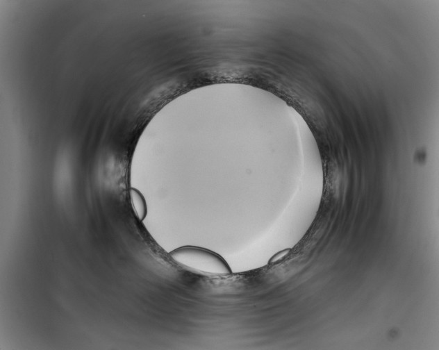 X0000099410526200805301348