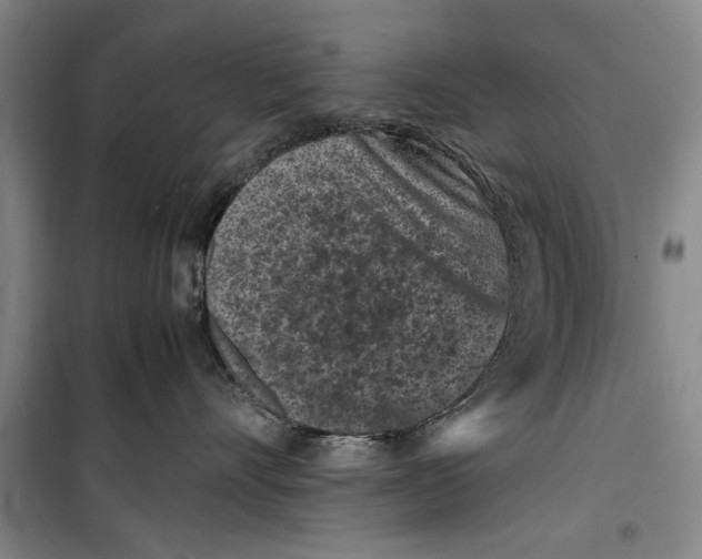 X0000099410528200805301348