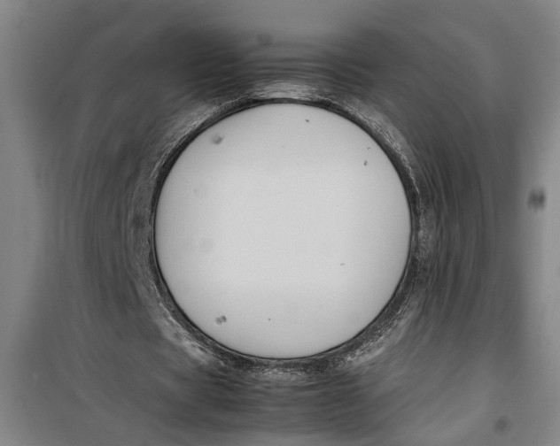 X0000099410529200805301347