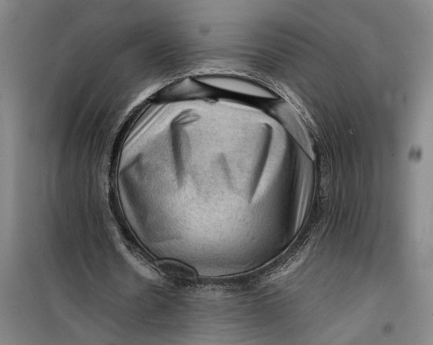 X0000099410530200805301347