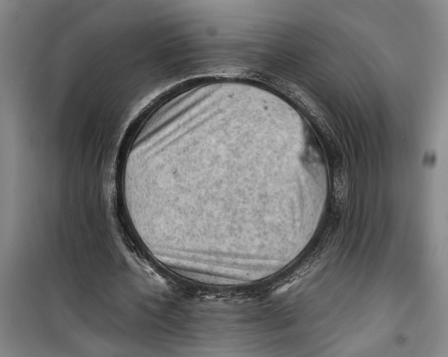 X0000099410532200805301347