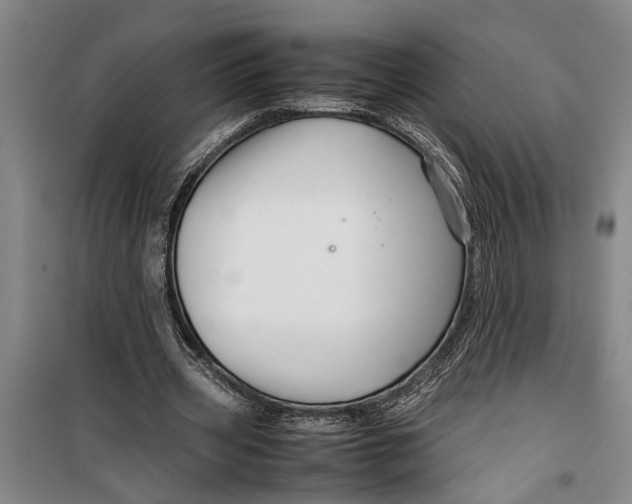 X0000099410533200805301347