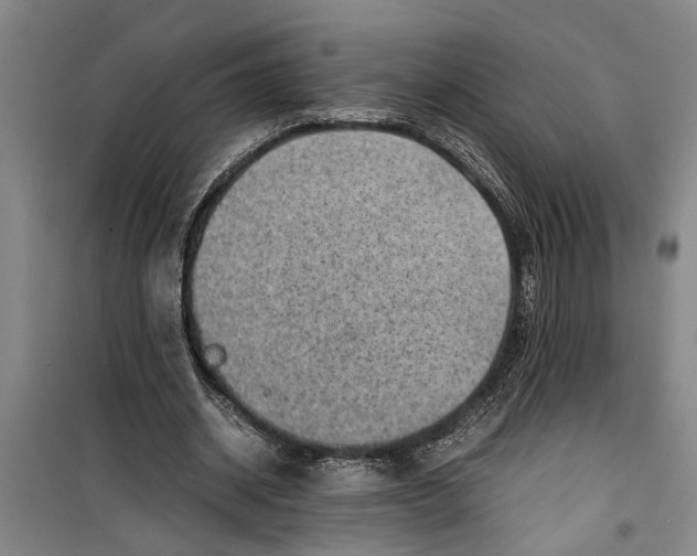 X0000099410534200805301347