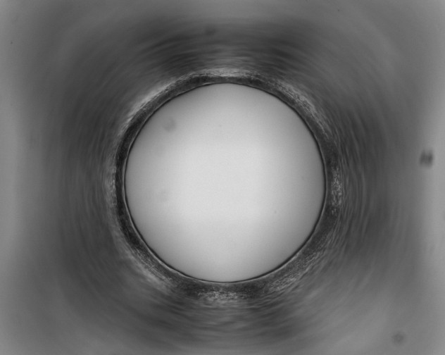 X0000099410535200805301347