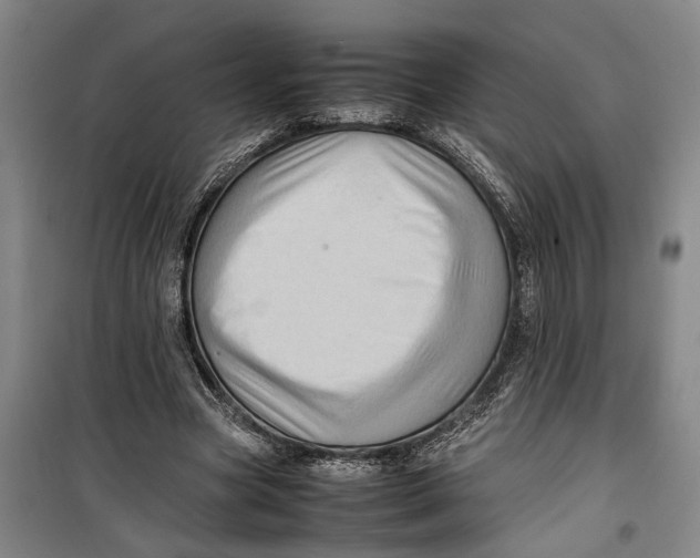 X0000099410537200805301347