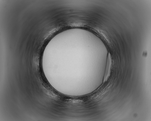 X0000099410539200805301347