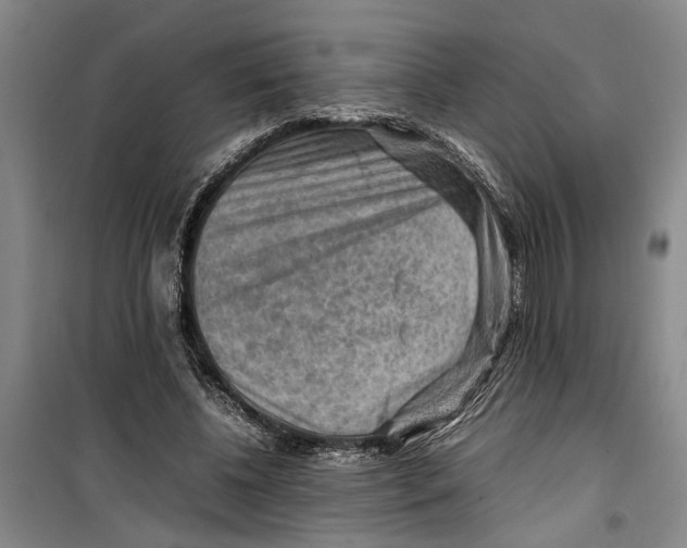 X0000099410540200805301348