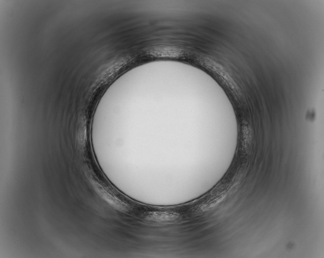 X0000099410541200805301348