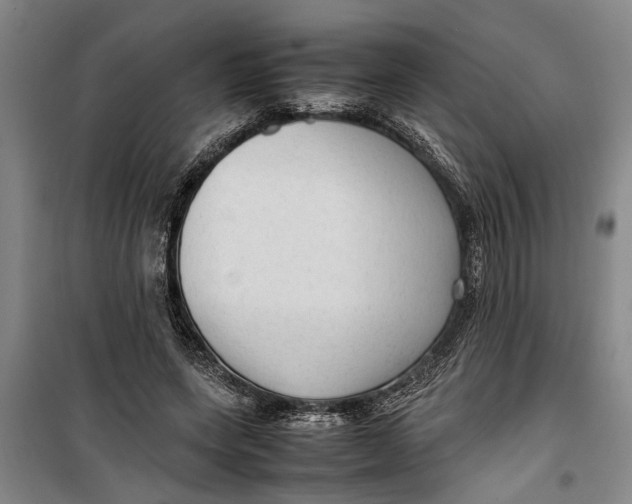 X0000099410543200805301348