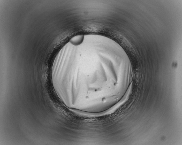 X0000099410544200805301348