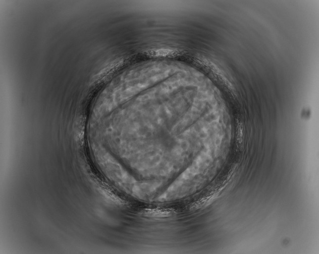 X0000099410545200805301348