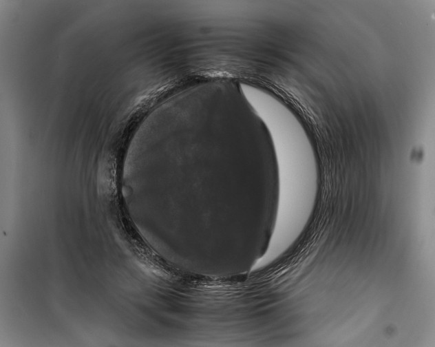 X0000099410547200805301348