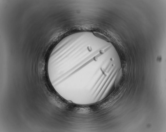 X0000099410548200805301348