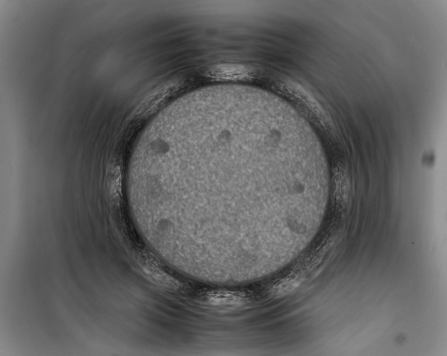 X0000099410549200805301348