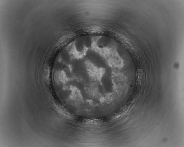 X0000099410550200805301348