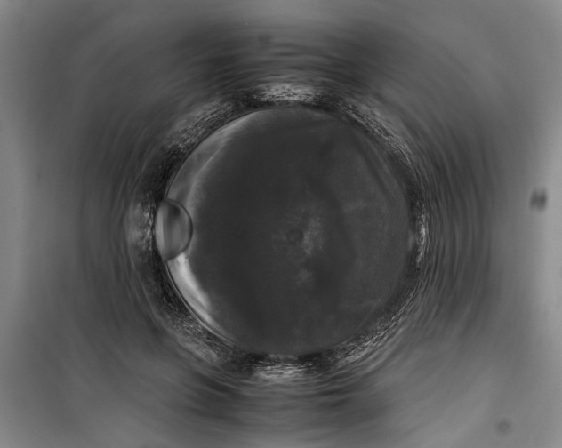 X0000099410551200805301348