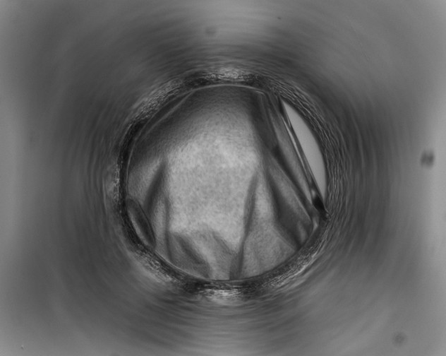 X0000099410552200805301348