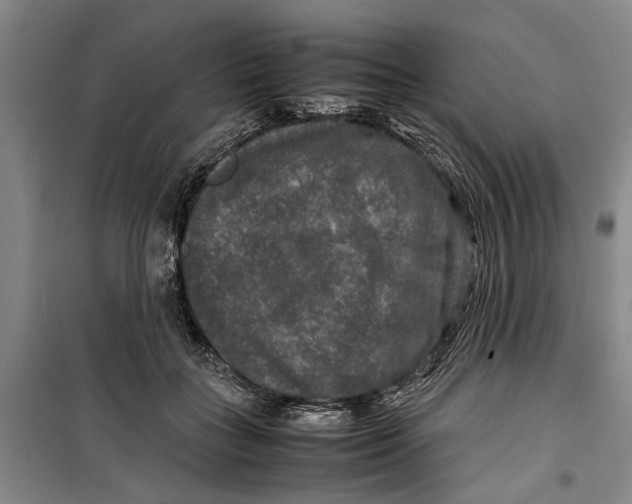 X0000099410555200805301348