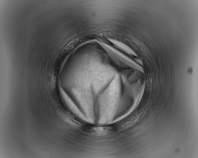 X0000099410558200805301348