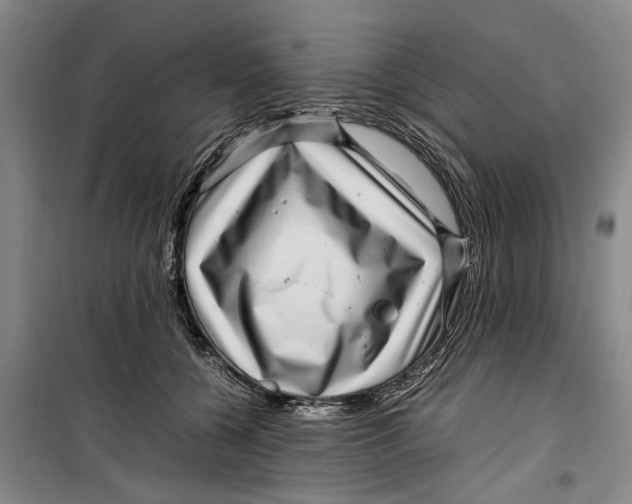 X0000099410560200805301348