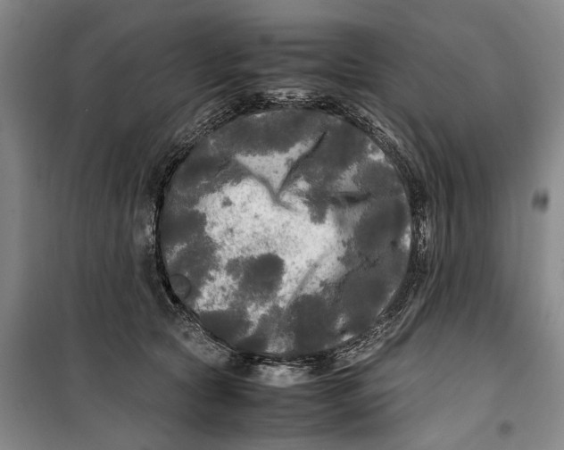 X0000099410561200805301348