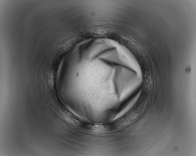 X0000099410562200805301348