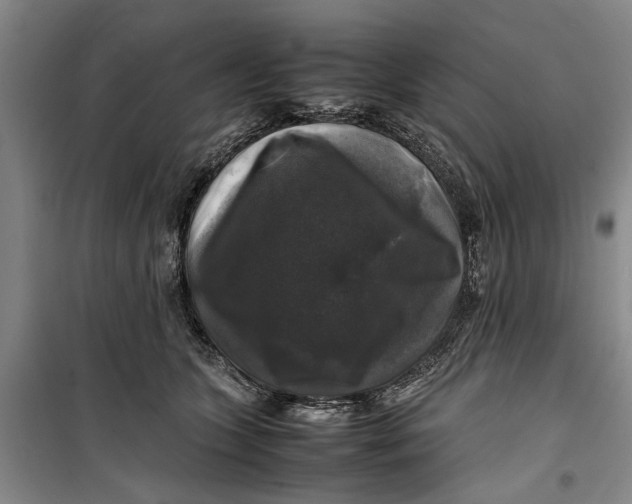 X0000099410563200805301348