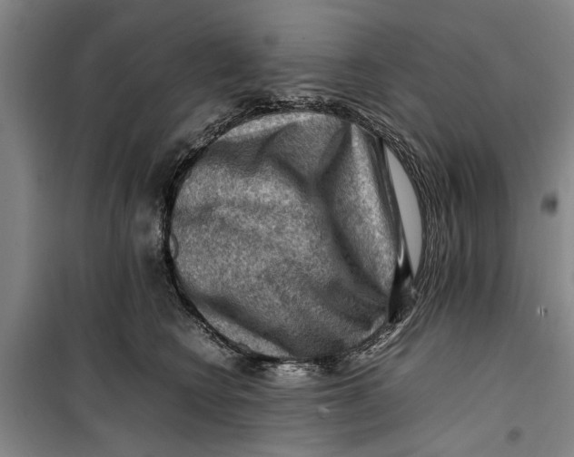 X0000099410566200805301348