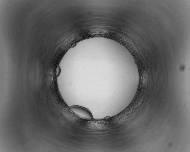 X0000099410567200805301348