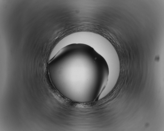 X0000099410568200805301348