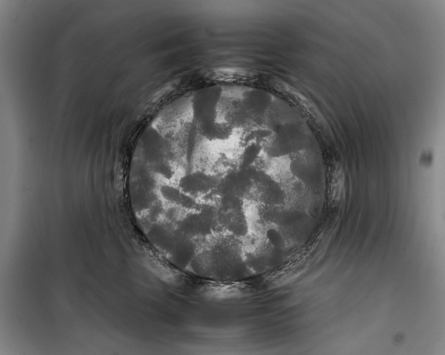 X0000099410569200805301348