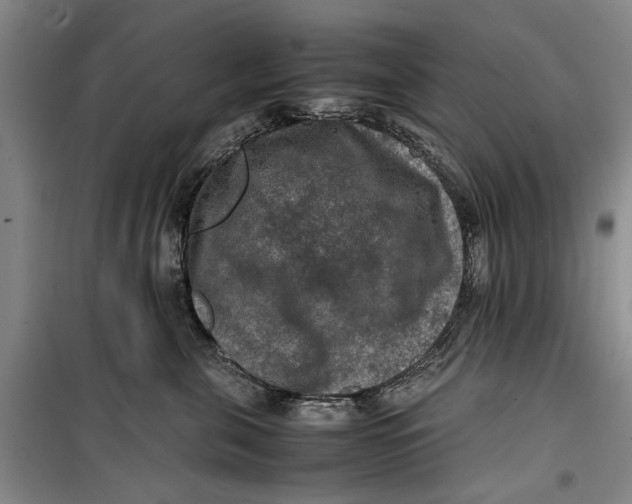 X0000099410571200805301348