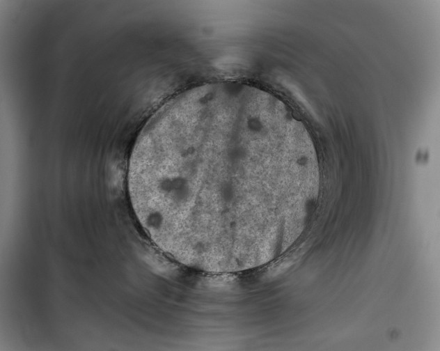 X0000099410576200805301348