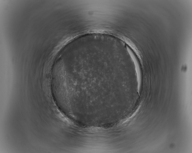 X0000099410577200805301347