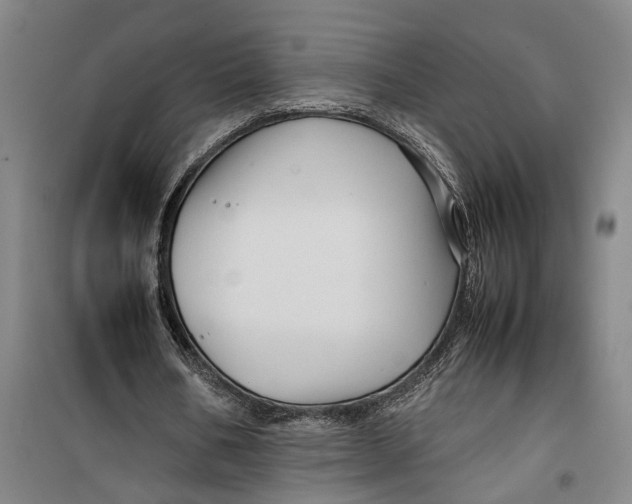 X0000099410578200805301347