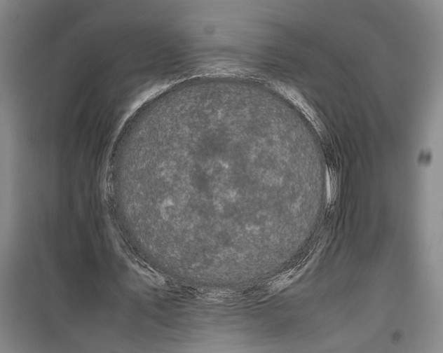 X0000099410579200805301347