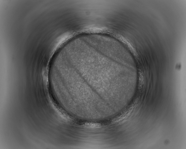 X0000099410582200805301347