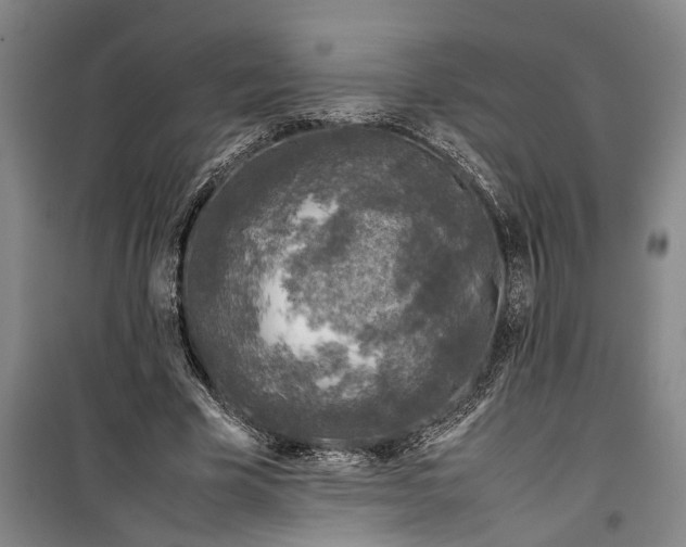 X0000099410585200805301347