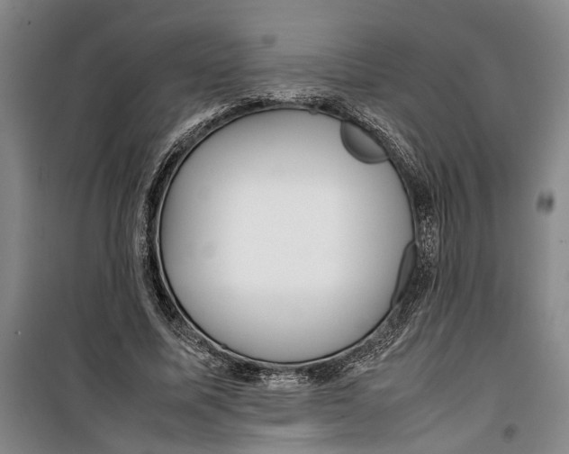 X0000099410587200805301347