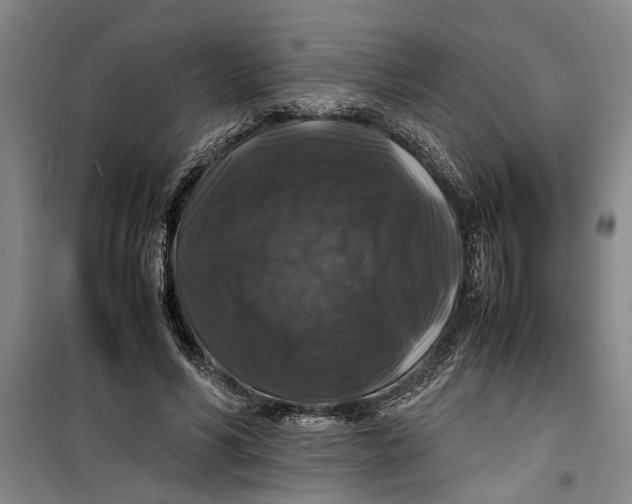 X0000099410590200805301347