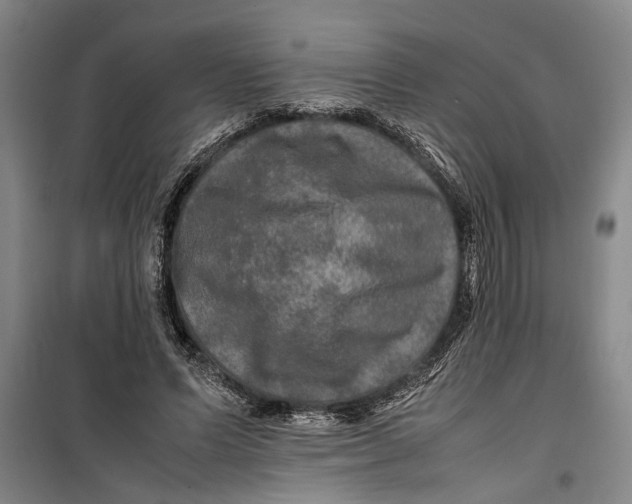 X0000099410591200805301347