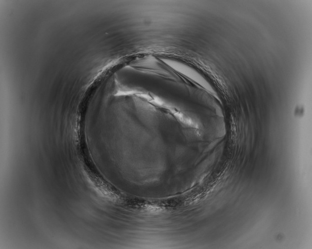 X0000099410592200805301347