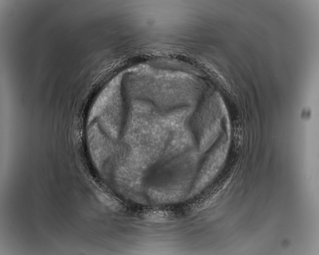 X0000099410593200805301347