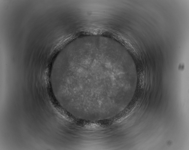 X0000099410594200805301347