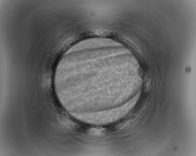 X0000099410595200805301347